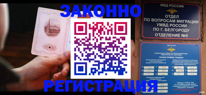 прописка 2025 в Пионерском